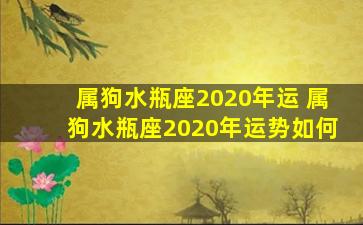 属狗水瓶座2020年运 属狗水瓶座2020年运势如何